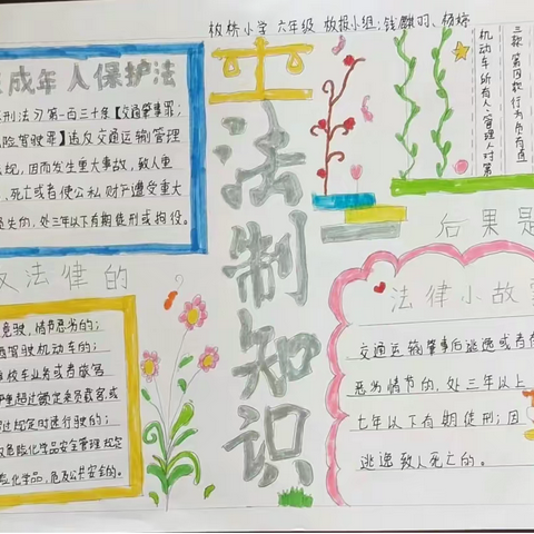 旧城镇板桥小学开展“安全法制教育”普法强基进校园活动