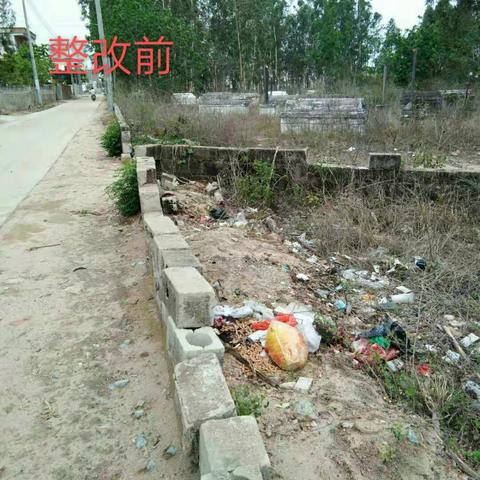 感城镇人居环境巡查工作日志