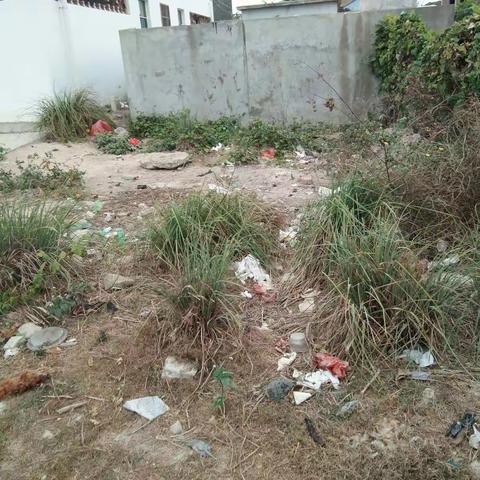 感城镇人居环境巡查工作日志