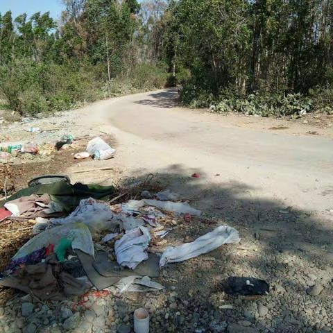 感城镇人居环境巡查工作日志