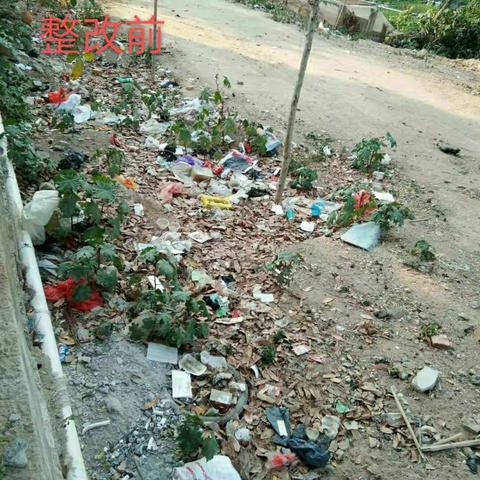 感城镇人居环境 巡查工作日志