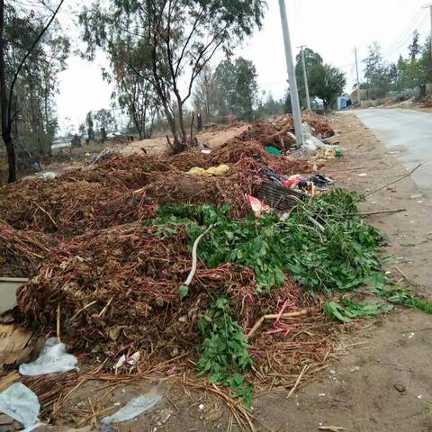 感城镇人居环境巡查工作日志