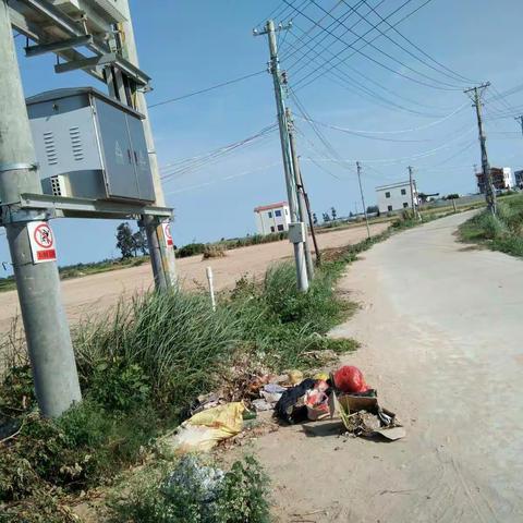 感城镇人居环境巡查工作日志