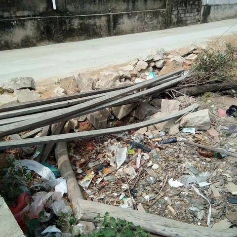 感城镇人居环境巡查工作日志