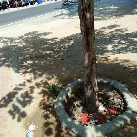 感城镇人居环境巡查工作日志