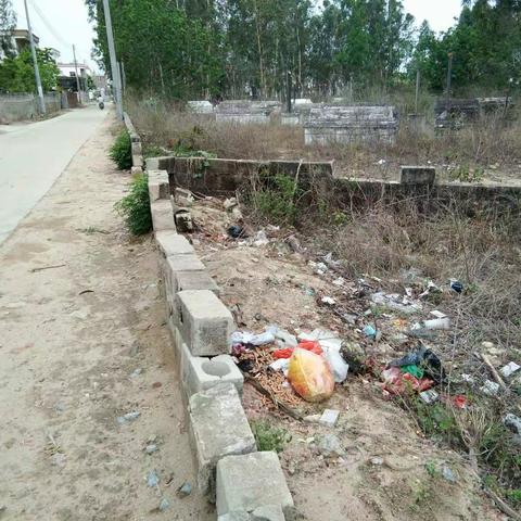 感城镇人居环境巡查工作日志