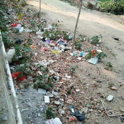 感城镇人居环境巡查工作日志