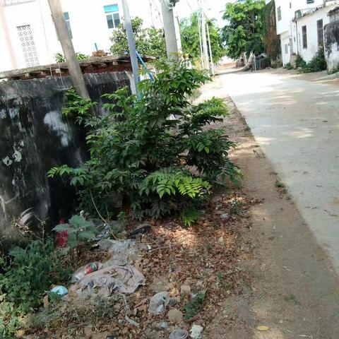 感城镇人居环境巡查工作日志