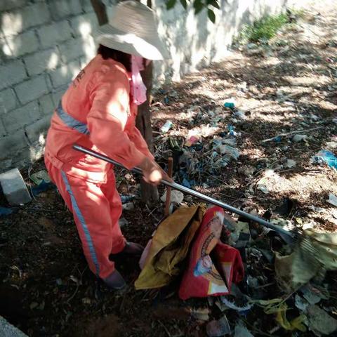 感城镇人居环境巡查工作日志