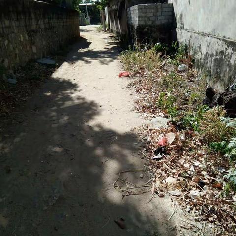 感城镇人居环境巡查工作日志