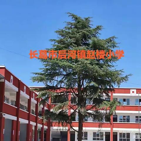 线上学习树榜样 不负时光逐梦行---后河镇赵楼小学“停课不停学”网课表彰会