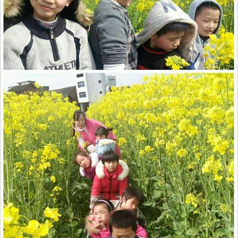 我们一起去春游