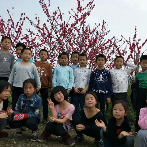 我们去春游啦！