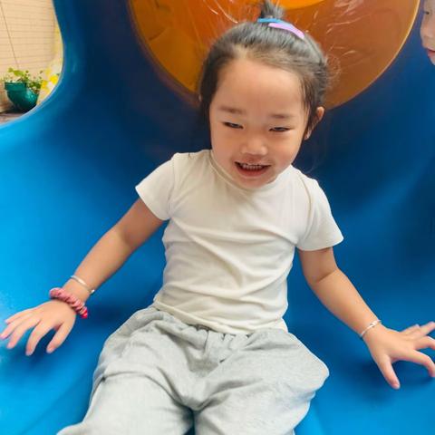 龙泽幼儿园种子一班6月8号教学日志