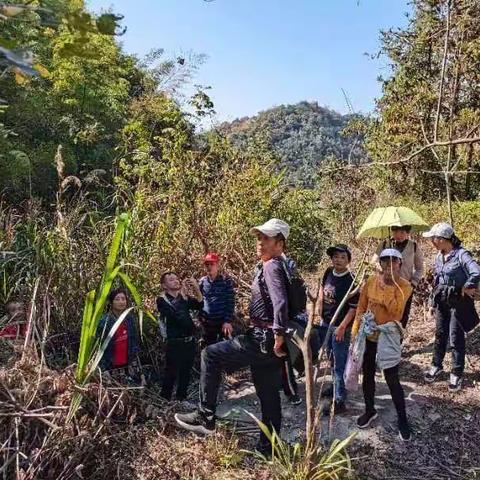 下午上谢半日游2022.10.12