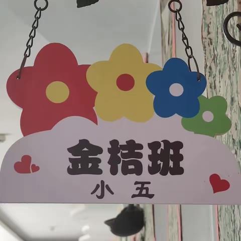 实验幼儿园金桔班快乐时光