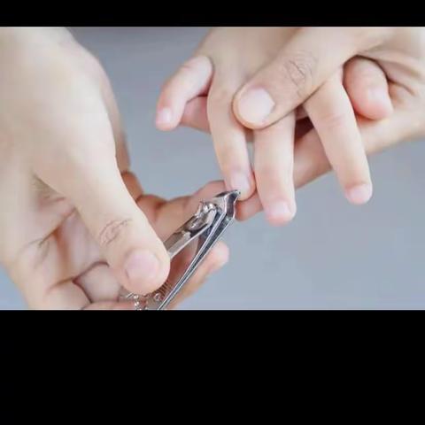 段泊岚程戈庄幼儿园——健康活动《勤剪指甲》