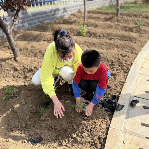 回归自然，做快乐的小菜农                        ——海林市朝鲜族幼儿园中班种菜活动