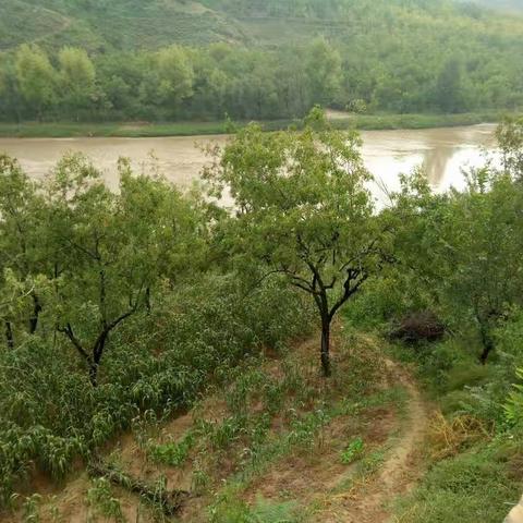 家——我的老家 就住在这个村 我是这个村里土生土长的人 村子不咋大