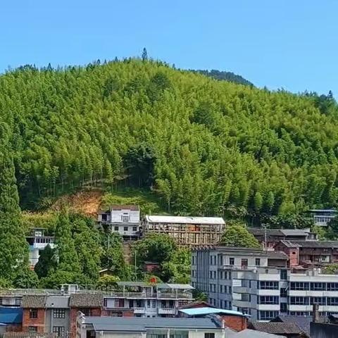 凝心聚力承前志  继往开来启后贤 ——茂地叶氏宗祠记