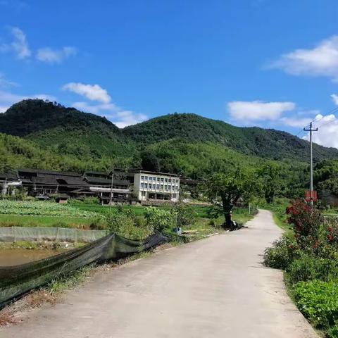 仲溪简史