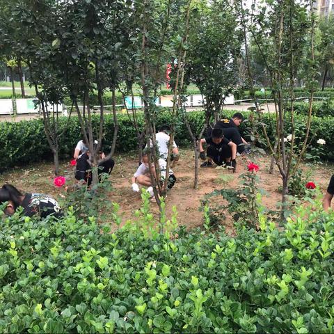 创建文明校园—实小分校五年级师生在行动