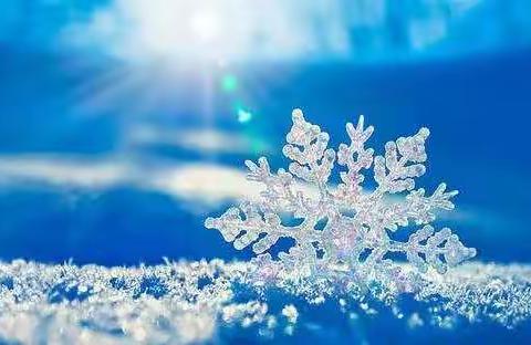 让我们在风雪中，给你最温暖的守护：延安教育集团四学年线上教学纪录