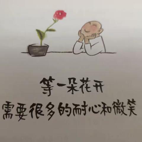 等一朵花开，需要很多的耐心和微笑