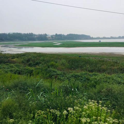 宝峰湖花海