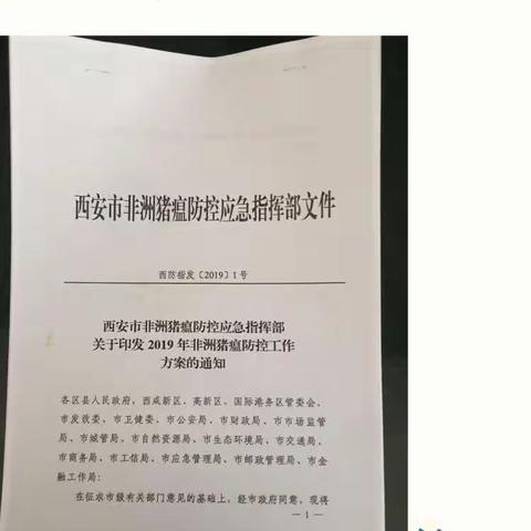 临潼区交口畜牧兽医站召开非洲猪瘟防控技术培训会，再次部署落实防控措施，全力以赴封堵疫情传入