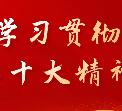 学习二十大，永远跟党走——平原示范区桥北乡盐店庄学校