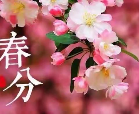 “花间春意闹 春分好时节”——二十四节气之春分主题活动