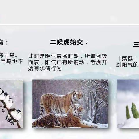 中国传统文化“二十四节气——大雪"——开封市星星幼儿园大三班家园共育指导篇（二十九）