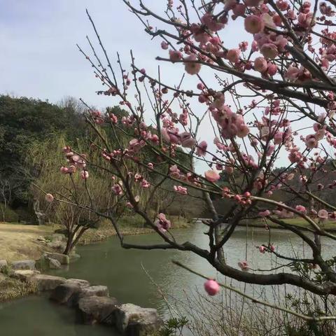 人在旅途，遇到友谊也是美丽的风景