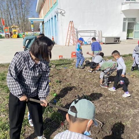 阿克达拉镇苏勒萨依村幼儿园种植物花朵活动——播种植物，收获快乐