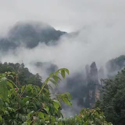 游张家界天子山（邓峻熙小练笔）