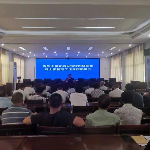 香鹿山镇深入贯彻落实县农业产业高质量发展现场推进会精神