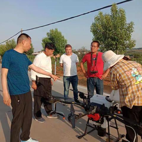 香鹿山镇花椒病虫害防治火热进行中