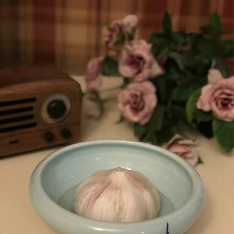 小蒜苗的成长记