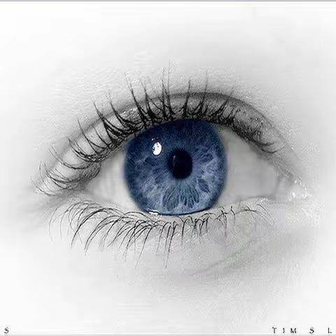 李百艳13786950245的美篇