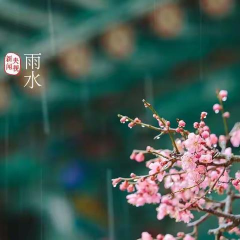 雨水