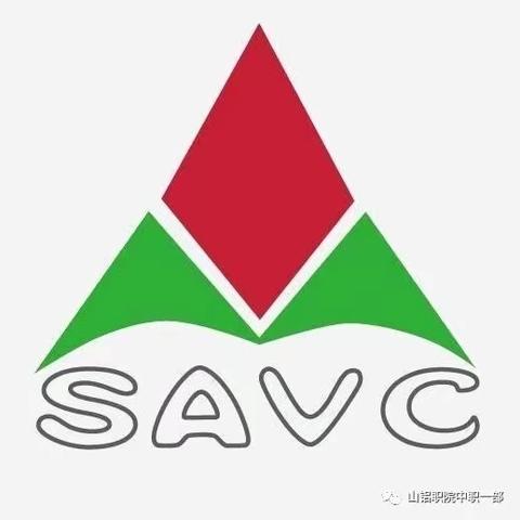 弘扬传统文化 传承书法之魂