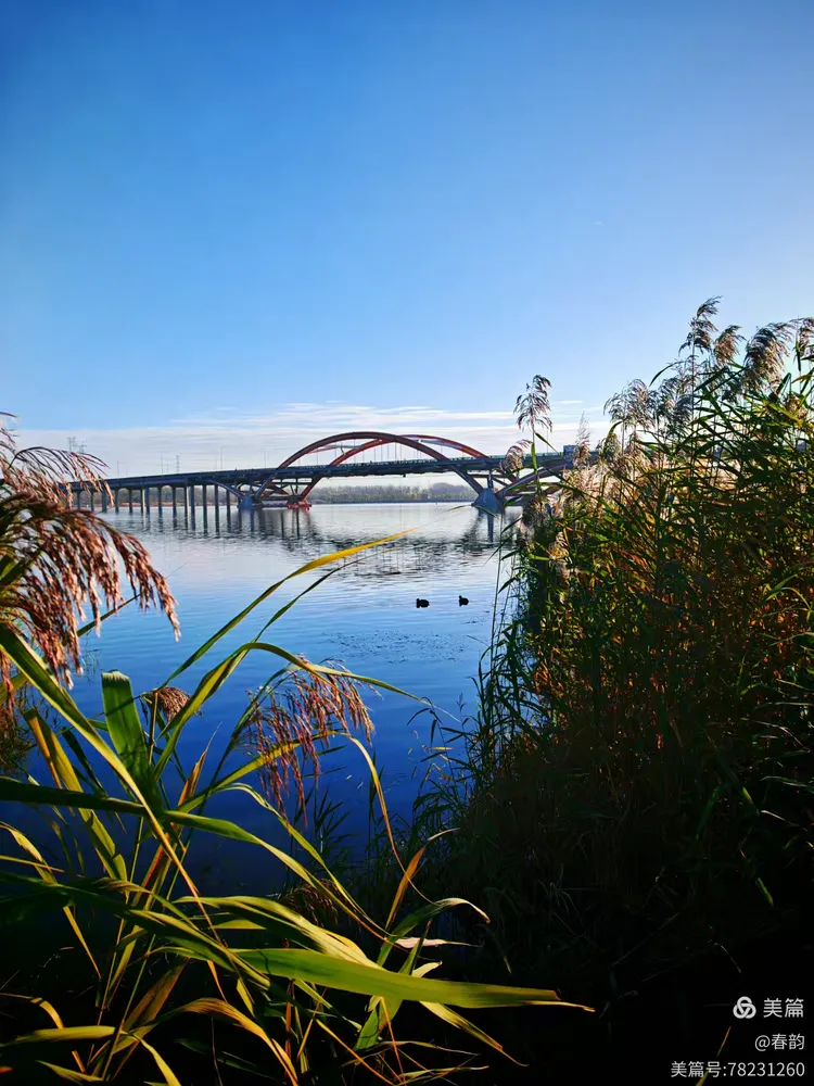 白河天气在线 白河天气在线