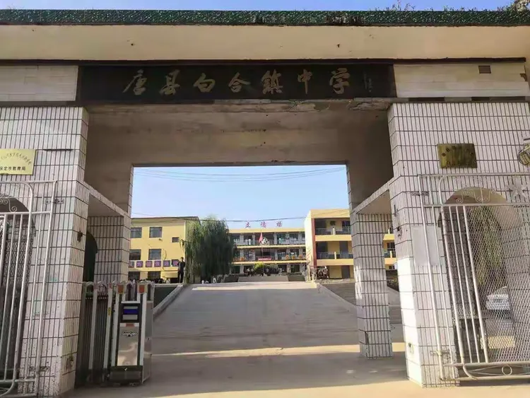 感受戏曲魅力,传承传统文化一一白合镇白合中学