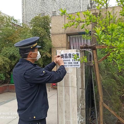 再检查 再部署 再整治 国际港务区全力推进“大整治、大清理、大扫除”