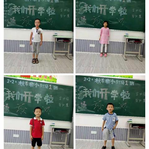 科道教育幼小衔接开学前常规意识培养