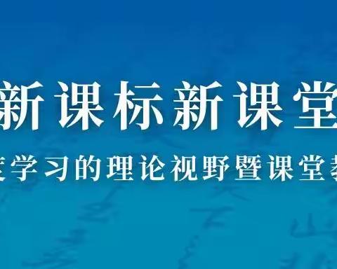 周末充电“不打烊”，“双新”探索促双减——  一机一中二0二校区“爱包头作贡献”之周末学习提素养