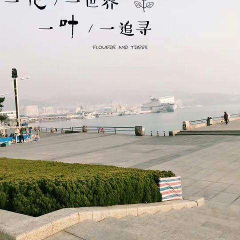 山东童年小伙伴相聚故事