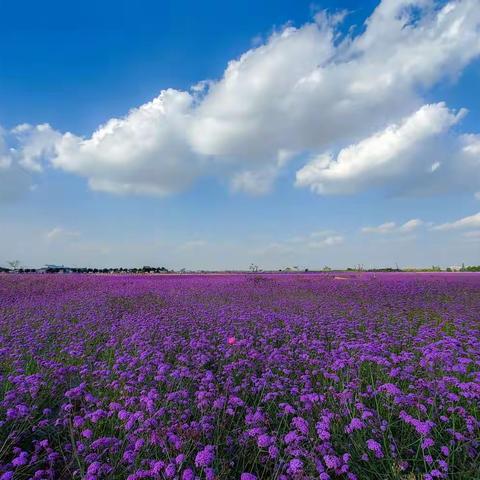 我将无我 不负人民||康乐县每日工作剪影之1022（2022.8.14）