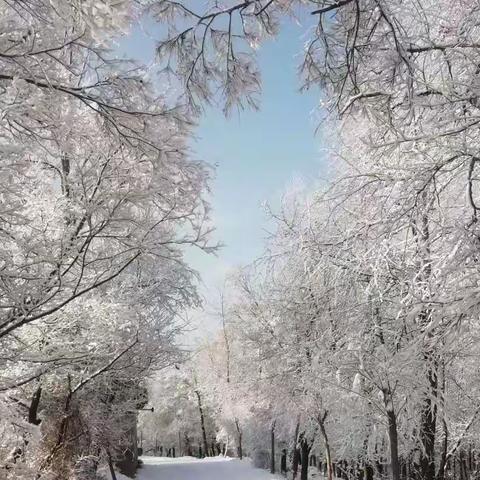 奋进新征程 建功新时代||康乐县每日工作剪影之1169（2023.1.16）